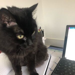 Meet your Posher, Krista